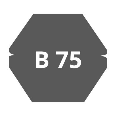 B 75