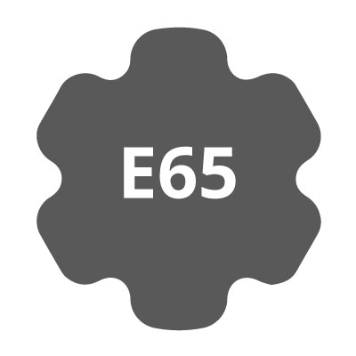 E 65